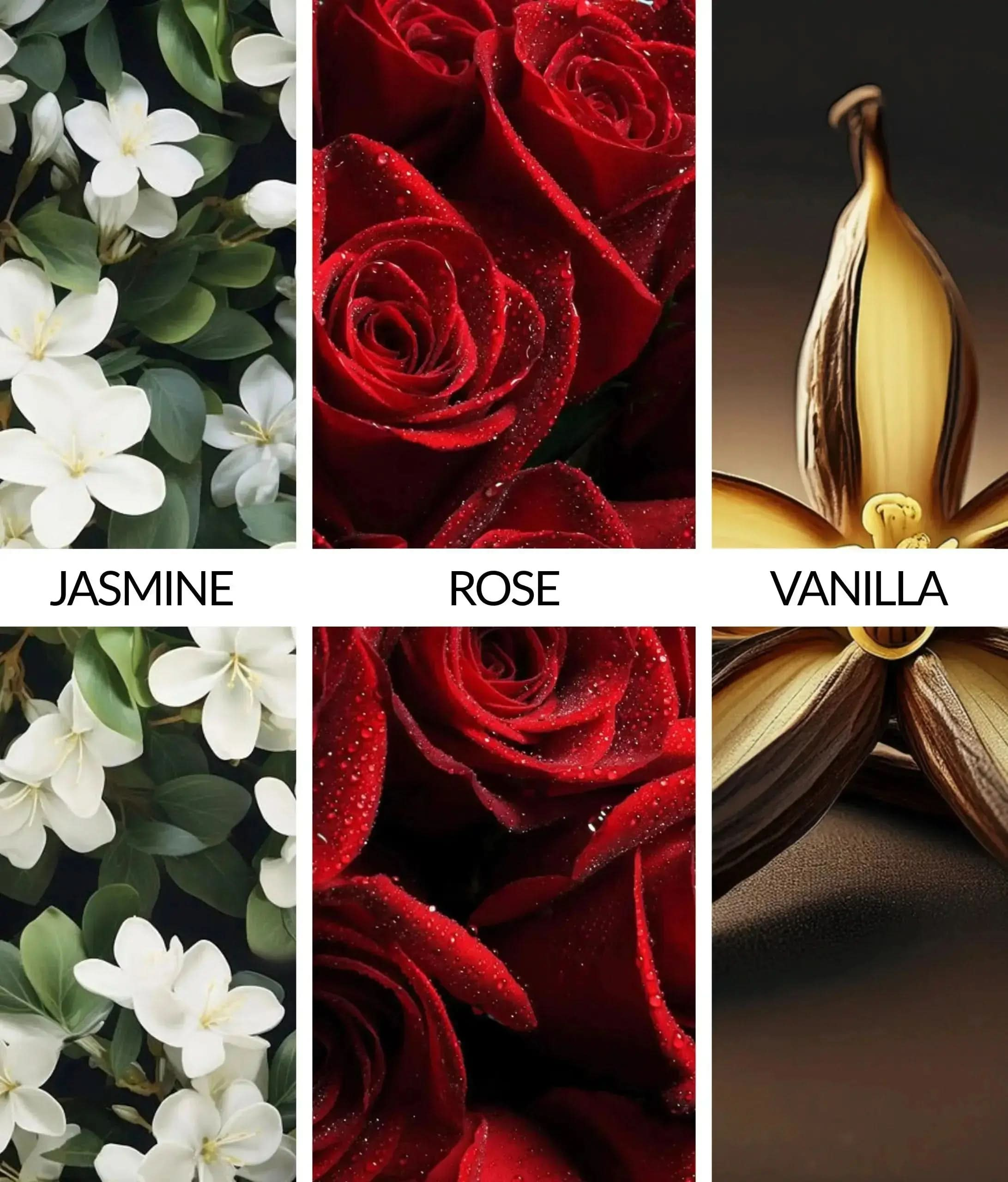 Adore 3 Pack Car Air Freshener Bundle