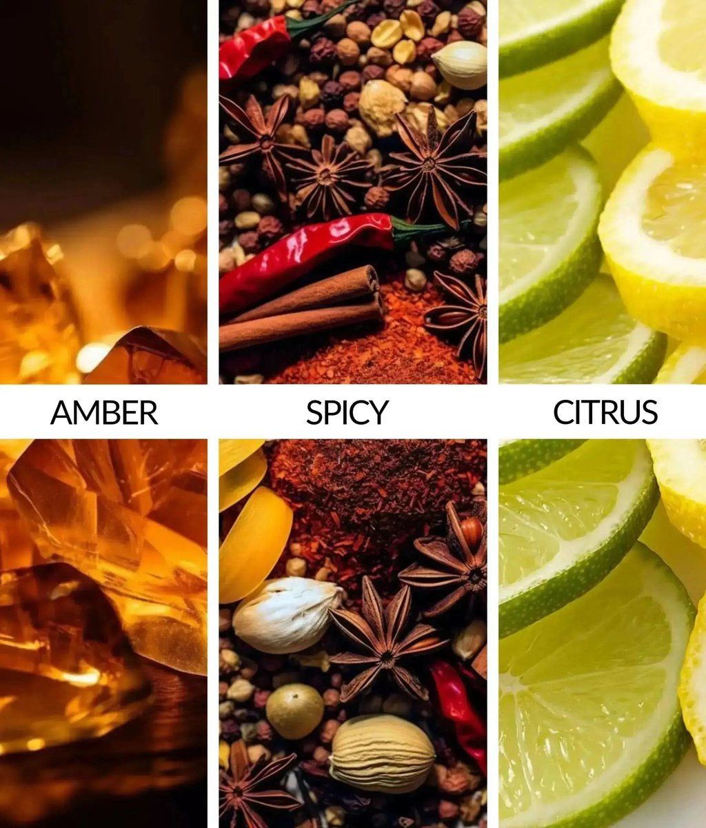 Billion 3 Pack Car Air Freshener Bundle